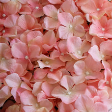 Load image into Gallery viewer, Hydrangea Artificial Flower Wall Mat Panel - Blush - 4 panels