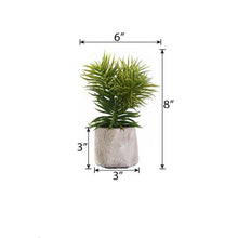 Load image into Gallery viewer, Set of 3 | 8" Assorted Spiky Crassula Artificial Plants with Pots