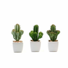 Load image into Gallery viewer, Set of 3 | 5" Assorted Cactus Artificial Plants with Pots