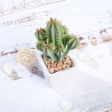 Load image into Gallery viewer, Set of 3 | 5" Assorted Cactus Artificial Plants with Pots