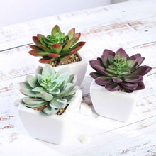 Load image into Gallery viewer, Set of 3 | 4'' Assorted Echeveria Artificial Plants with Pots