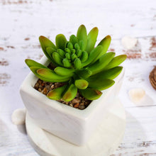 Load image into Gallery viewer, Set of 3 | 4'' Assorted Lotus Artificial Plants with Pots