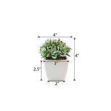 Load image into Gallery viewer, Set of 3 | 4'' Assorted Green Echeveria Artificial Plants with Pots