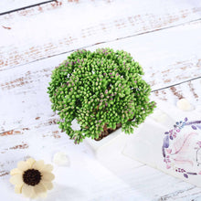 Load image into Gallery viewer, Set of 3 | 6'' Assorted Autumn Joy Sedum Artificial Plants with Pots