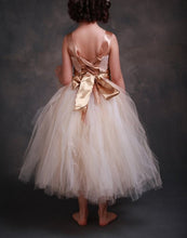 Load image into Gallery viewer, Fairy Tutu Flower Girl Dress - Ivory / Brown