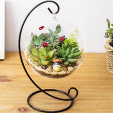 Load image into Gallery viewer, Set of 3 | 18" Assorted Artificial Succulent Plants Aeonium Spray Long Stem Air Plants
