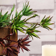 Load image into Gallery viewer, Set of 3 | 13" Assorted Artificial Succulent Plants Yucca Aloe Vera Long Stem Air Plants
