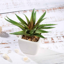 Load image into Gallery viewer, Set of 3 | 5" Assorted Spotted Aloe Vera Artificial Plants with Pots
