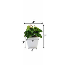 Load image into Gallery viewer, Set of 3 | 5" Assorted Wavy Kalanchoe Artificial Plants with Pots
