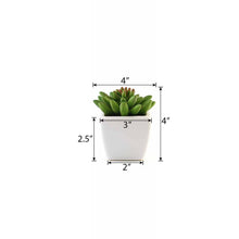 Load image into Gallery viewer, Set of 3 | 4'' Assorted Lotus Artificial Plants with Pots
