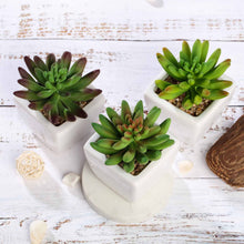 Load image into Gallery viewer, Set of 3 | 4'' Assorted Lotus Artificial Plants with Pots
