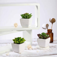 Load image into Gallery viewer, Set of 3 | 4'' Assorted Lotus Artificial Plants with Pots
