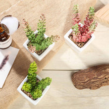 Load image into Gallery viewer, Set of 3 | 8'' Assorted Sedum Oaxacanum Artificial Plants with Pots
