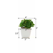 Load image into Gallery viewer, Set of 3 | 5'' Assorted Mini Echeveria Artificial Plants with Pots
