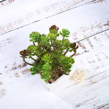 Load image into Gallery viewer, Set of 3 | 7'' Assorted Crassula Artificial Plants with Pots
