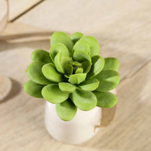Load image into Gallery viewer, Set of 3 | 3" Roundleaf Echeveria Stems Decorative Artificial Plants
