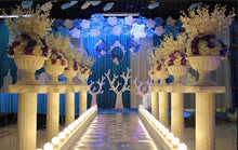 Load image into Gallery viewer, 36" Tall Empire Roman Decorative Wedding Columns - 4 PCS - Height Adjustable
