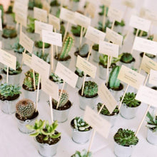 Load image into Gallery viewer, Set of 3 | 5" Assorted Aloe Varietal Artificial Plants with Pots

